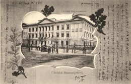 T4 Szamosújvár, Gherla; Állami Főgimnázium, Todorán Ednre Kiadása / Grammar School, Floral Art Nouveau (r) - Unclassified