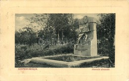 T2/T3 Szepesváralja, Spisské Podhradie; Honvéd Síremlék. W.L. Bp. 2778. / Military Monument - Unclassified