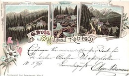 T2 1898 Tátra, Tarpatakfüred, Wildbad Kohlbach; Vízesés, Karl Schwidernoch / Waterfall. Art Nouveau, Floral, Litho - Unclassified