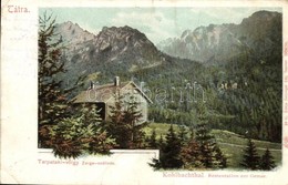 * T2/T3 Tátra, Tarpataki-völgy, Zerge Szálloda. Feitzinger Ede 52. 1904/14. / Kohlbachthal, Restauration Zur Gemse / Val - Non Classificati