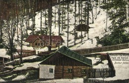 * T4 Rahó, Rahau, Rakhiv; Borkút Fürdő Télen / Spa Hall In Winter (b) - Sin Clasificación