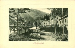 ** T2 Javorník, Jauernig; Krebsgrundtal / Bridge, Restaurant. W. L. Bp. 3324B. Verlag A. Michaleck - Sin Clasificación