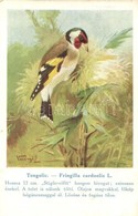 ** T2 Tengelic. A Magyar Földrajzi Intézet Rt. Kiadása Székesfővárosi állatkerti Sorozat / Fringilla Carduelis. Hungaria - Non Classificati