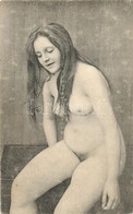 * T2/T3 Erotic Nude Lady. Künstler Akt-Studie (non PC) (EK) - Zonder Classificatie