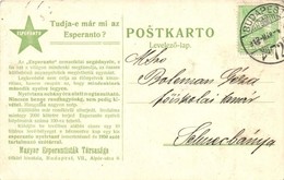 T2/T3 Tudja-e Már Mi Az Esperanto? Magyar Esperantisták Társaság Levelezőlapja / Hungarian Esperantists Society (EK) - Unclassified