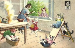 * T2/T3 Cat Family. Max Künzli No. 4733. - Modern Postcard  (gluemark) - Zonder Classificatie