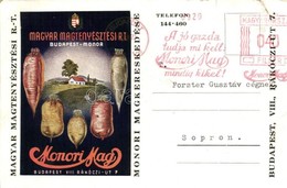 T2/T3 Monori Mag Reklámlap. Magyar Magtenyésztési Rt. Budapest-Monor / Hungarian Seed Culture Advertisement  (kis Szakad - Unclassified