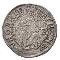 1533K-B Denár Ag 'I. Ferdinánd' (0,52g) T:1-
Hungary 1533K-B Denar Ag 'Ferdinand I' (0,52g) C:AU
Huszár: 935., Unger II. - Zonder Classificatie