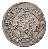 1545K-B Denár Ag 'I. Ferdinánd' (0,58g) T:1-
Hungary 1545K-B Denar Ag 'Ferdinand I' (0,58g) C:AU
Huszár: 935., Unger II. - Sin Clasificación