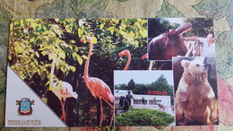 Ukraine. Nikolaev ZOO 2000s Hippo Bear Flamingo - Flusspferde