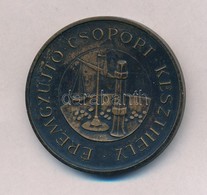 Bogár Lívia (1957-) 1987. 'Keszthelyi Éremgyűjtő Csoport / UNIVERSITAS AESTIVA NUMISMATICA - 1987. V. 27. - VI. 31.' A 3 - Ohne Zuordnung