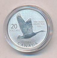 Kanada 2014. 20$ Ag 'Kanadai Lúd' T:BU
Canada 2014. 20 Dollars Ag 'Canada Goose' C:BU - Non Classificati