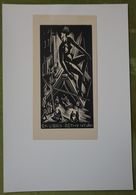 Ex-libris Illustré Hongrie XXème - RETHY ISTVAN - Gravure Sur Bois Par Menyhàrt - Bookplates