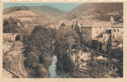 81 // VABRE    Vue Générale Sur La Gare   Edit Apa Poux 10 / Colorisée - Vabre