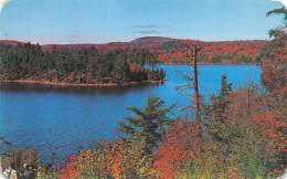INLET - NEW YORK - Central Adirondack - Looking Across Seventh Lake Which Reflects Autumn In All Its Glorious Hues - Adirondack