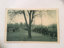 TORINO - Scuola D’applicazione D’Artiglieria E Genio, Campo Ostacoli Di Sassi, Equitazione - Cartolina FP V 1938 - Stadia & Sportstructuren