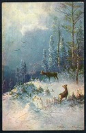 B1520 - Müller Jun. München - Jagdszene - Damwild Winterlandschaft - Mueller, August - Munich