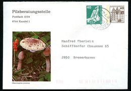 Bund PU111 B2/005 Privat-Umschlag PARASOLPILZ Gebraucht Kandel 1983 - Privé Briefomslagen - Gebruikt