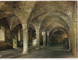 Villers-La-Ville - Ruines De L'Abbaye - La Brasserie : Cave Romane - Villers-la-Ville