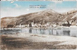 ZELL-sur-MOSELLE - Zell