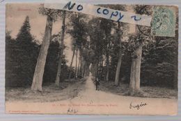 RAISMES ALLEE DU ROND DES DAMES    (P1) - Raismes