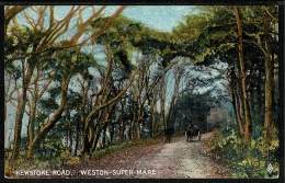 RB 1195 - Early Postcard - Horse & Carriage - Kewstoke Road Weston-super-Mare Somerset - Weston-Super-Mare