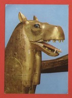 CP42 AFRIQUE EGYPTE RAU TOUTANKAMON  44 - Musei
