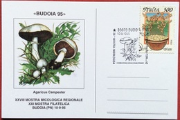 1995 BUDOIA XXVIII MICOLOGICA MOSTRA XXI MOSTRA FILATELICA / Agaricus Campester - Mushrooms