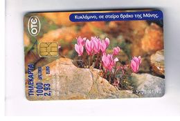 GRECIA (GREECE) -  2001 -  FLOWERS    - USED - RIF.  41 - Fleurs