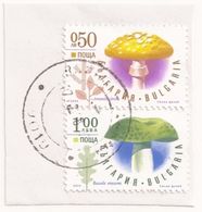 Bulgaria, Fragmento, SETAS, MUSHROOM (Amanita Citrina + Russula Virences)(ulti) - Used Stamps