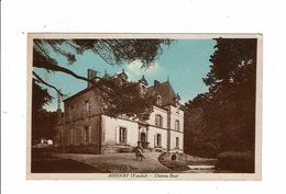 Cpa AIZENAY Vendée Chateau BUET Homme Et Chien - Coll Roux - Aizenay