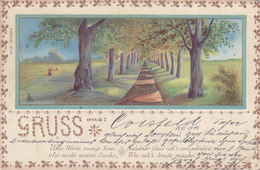 Cpa 2 Scans Lithographie Gruss Aus Coesfeld  Voyagée 18 XI 1900 Précurseur Allemagne Germany (1 Coin Plié En Bas A Droit - Coesfeld