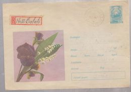 FLOWER, Envelope  ROMANIA 1966, Cancel``BATOTI ` Area OLTENIA `to Craiova, Ski, Strip Of 3 Stamps - Brieven En Documenten