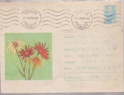 PLANT FLOWER, Cover Envelope ROMANIA 1966 COVER STATIONERY,POSTAL STATIONERY ROMANIA 1966, CANCEL  CRAIOVA - Covers & Documents