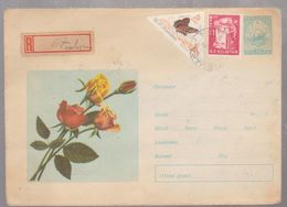 FLOWER BUTTERFLIES, ROMANIA 1964, COVER STATIONERY,POSTAL STATIONERY ROMANIA 1964, CANCEL TISMANA, - Covers & Documents