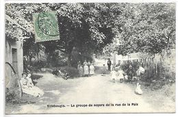 VILLEBOUGIS - Le Groupe De Noyers De La Rue De La Paix - Villebougis