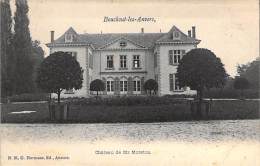 Bouchout-Les-Anvers. - Château De Mr. Moretus. - Böchout