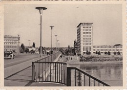 POSTCARD GERMANY DEUTSCHLAND - FRANKFURT / MAIN. DIE FRIEDENSBRUCKE - Frankfurt A. D. Oder