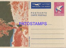 89887 LIECHTENSTEIN ART BRUNO KAUFMANN RUGGELLER RIED POSTAL STATIONERY POSTCARD - Entiers Postaux