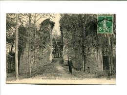 CP - SAINT COULOMB  (35) LES RUINES DU PLESSIS BERTRAND - Saint-Coulomb