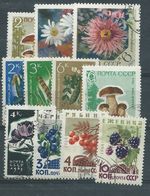 RU017    RUSSIA  Frutti E Fiori  11 V.  -  Usato - Colecciones