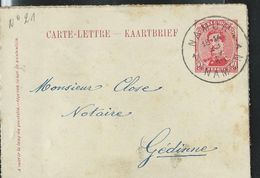 Carte-Lettre Obl. N° 21  Obl. Namur - Namen 23/04/19 ..   Fortune - Carte-Lettere