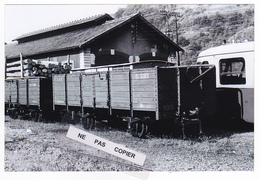 PHOTO Train Wagon Tombereau Des CFD Et Autorail Billard RETIRAGE RECENT D'après NEGATIF ORIGINAL Des Années 60 - Treinen