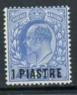 British Levant 1906 1p  Edward VII Issue #13  MNH - Brits-Levant