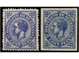 348 * ESPAÑA. Ed.183ec Y 183ecs. <B>5 Cts.</B> Azul<B> ERROR DE COLOR.</B> 2 Sellos <B>DENTADO</B> Y<B> SIN DENTAR.</B>  - Altri & Non Classificati