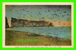 PERCÉ, QUÉBEC - OISEAUX SUR LA PLAGE SUD - C.N.R. - PUB. BY H. V. HENDERSON - - Percé