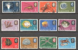 BARBADOS 1965   Marine Life  12 Values Used - Barbades (...-1966)