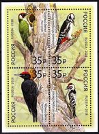 NEW! Russia 2018, Block Fauna Of Russia Birds Woodpeckers, Scott # 7894a-d, XF MNH** - Ungebraucht