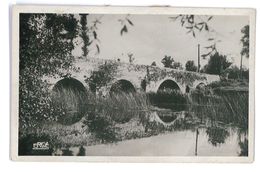 CPSM 79 THENEZAY VIEUX PONT ROMAIN - Thenezay