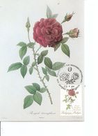 Belgique - Roses De Redouté ( CM De 1988 à Voir) - 1981-1990
